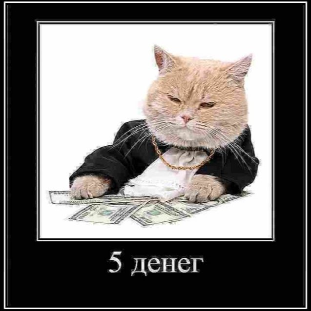 Денежный кот