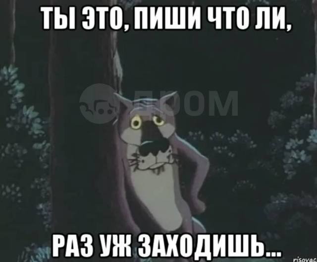 Пиши если что