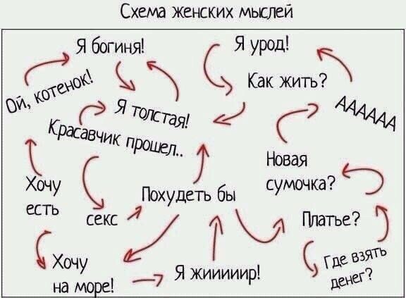 Мысли в женской голове