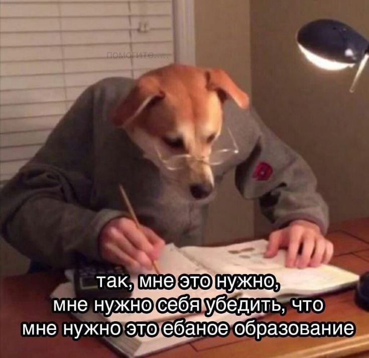 Умная собака Мем