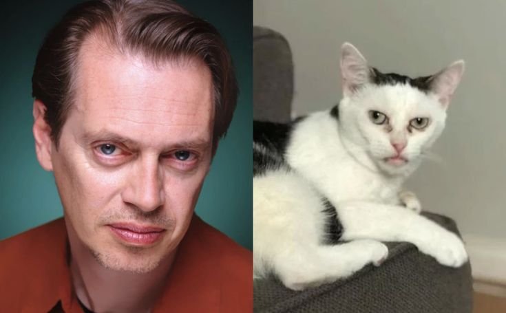 Стив Бушеми и Скарсгард