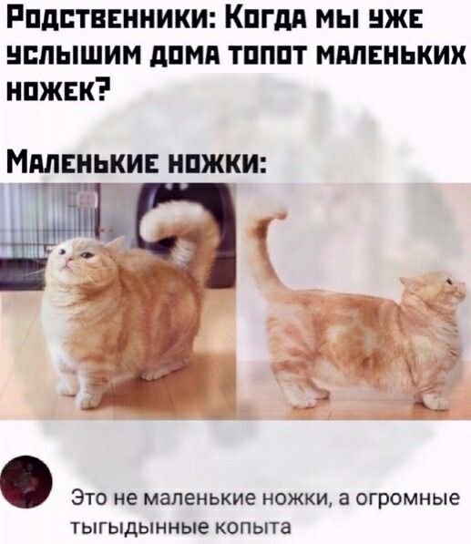 Тыгыдык прикол