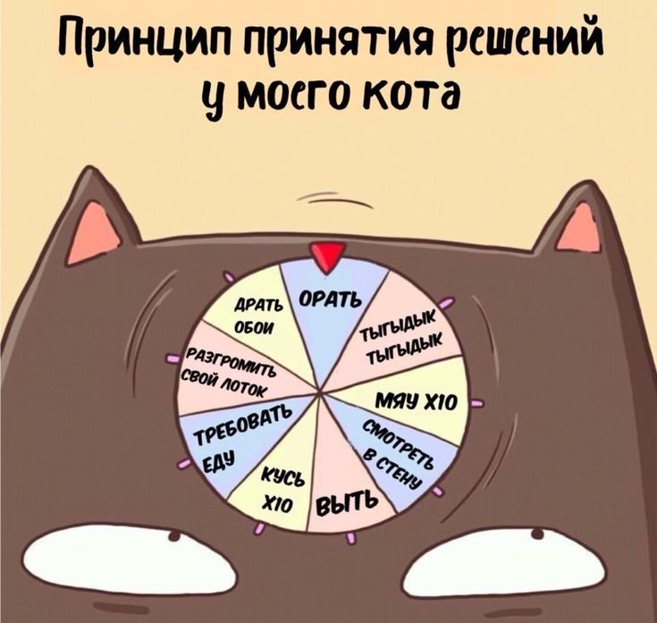 Тыгдык тыгдык кот