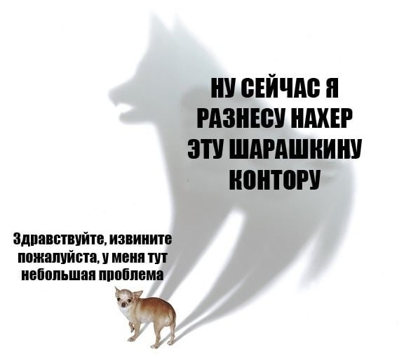 Мем с собакой и тенью