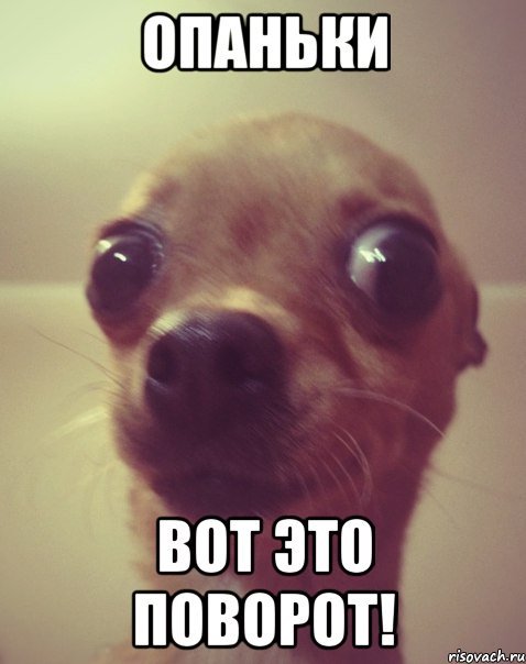 Смешной Мем