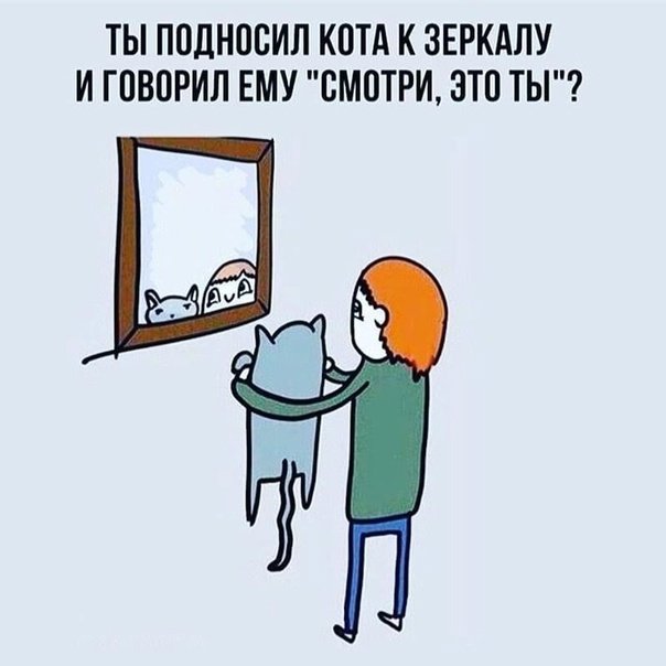 Шутки про зеркало