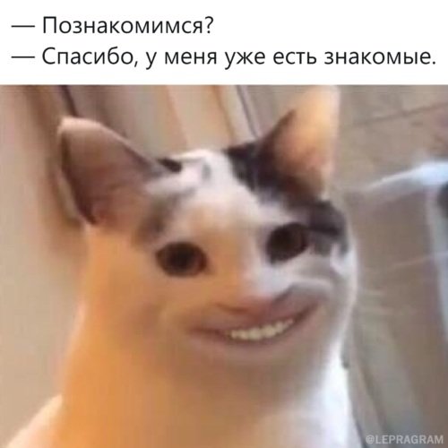 Кот улыбается Мем с зубами