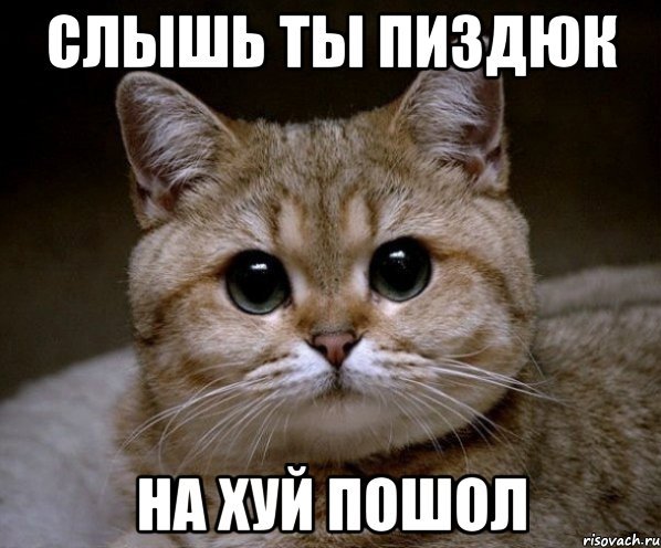 Слышь Пидрила