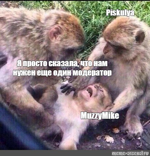 Диалог с обезьяной Мем