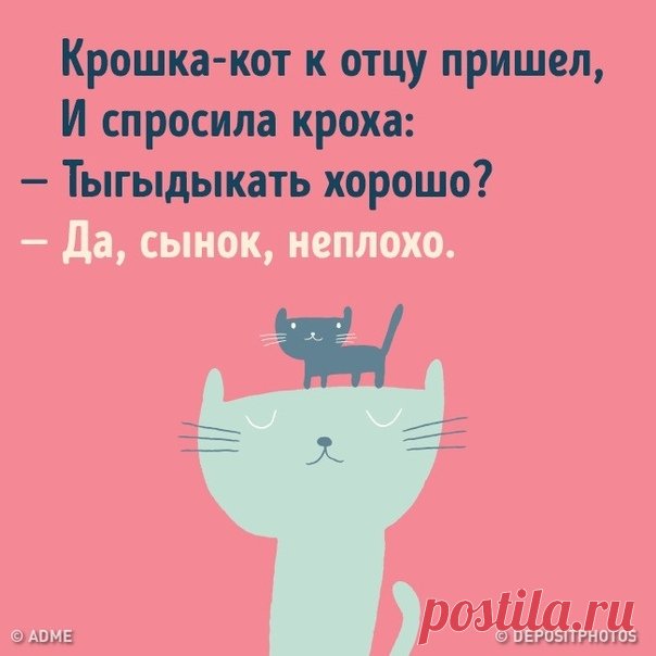 Тыгыдым кот