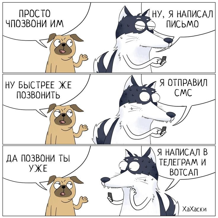 Хаски приколы