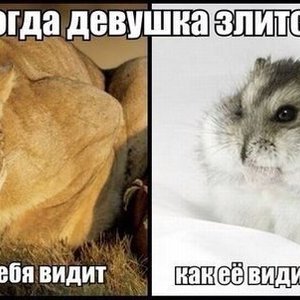 Как она видит себя