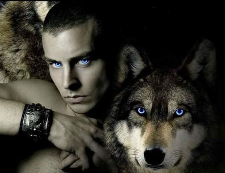 Одинокие волки