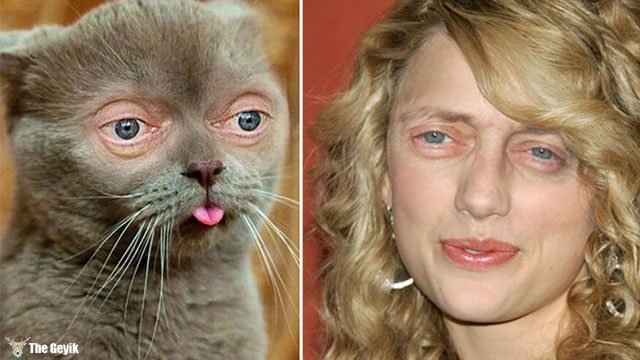 Кошка Марла «Бушеми»