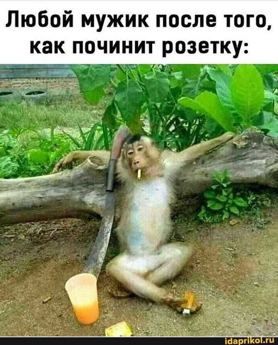 Приколы картинки ржачные