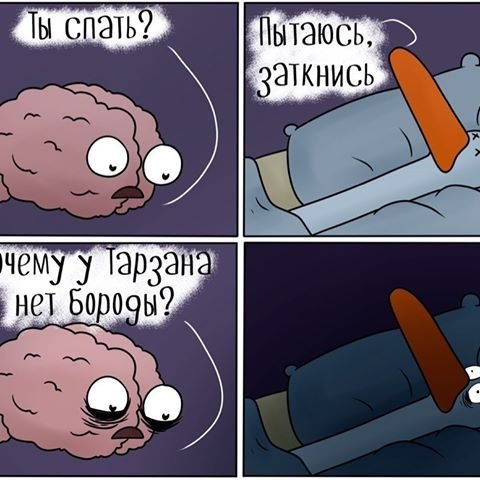Мозг перед сном прикол