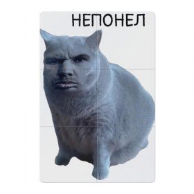 Кот Глада Валакаса