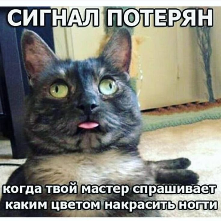 Кот с глазами в разные стороны Мем