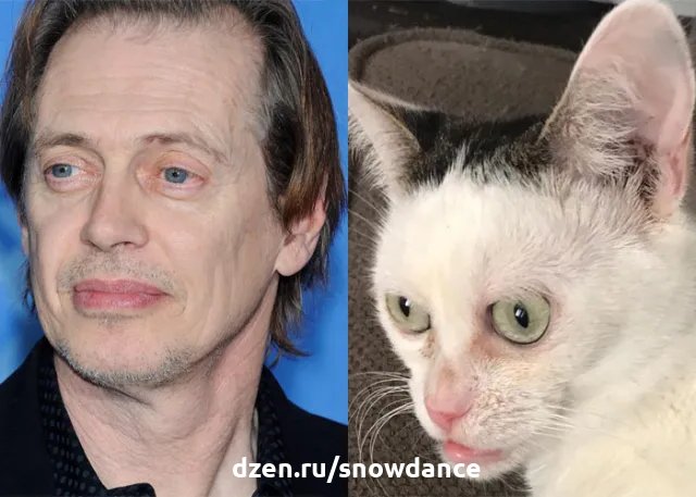 Уильям Дефо и Стив Бушеми