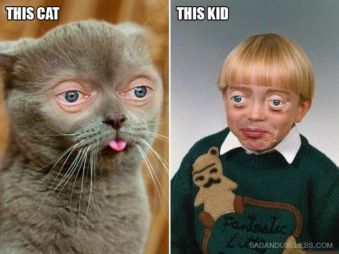 Стив Бушеми глаза