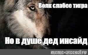 Волк одиночка Мем