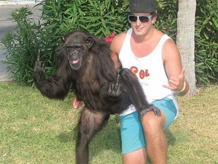 Мужик обезьяна