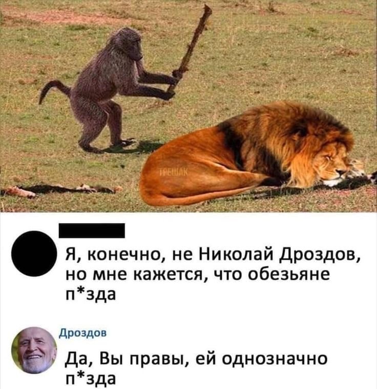 Обезьяна говорит человеку