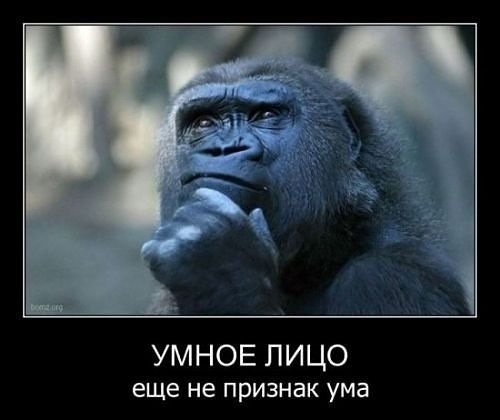 Обезьяна говорит человеку