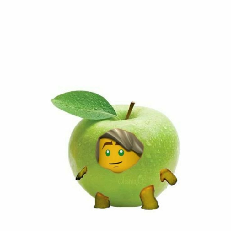 Котики овощи коты фрукты