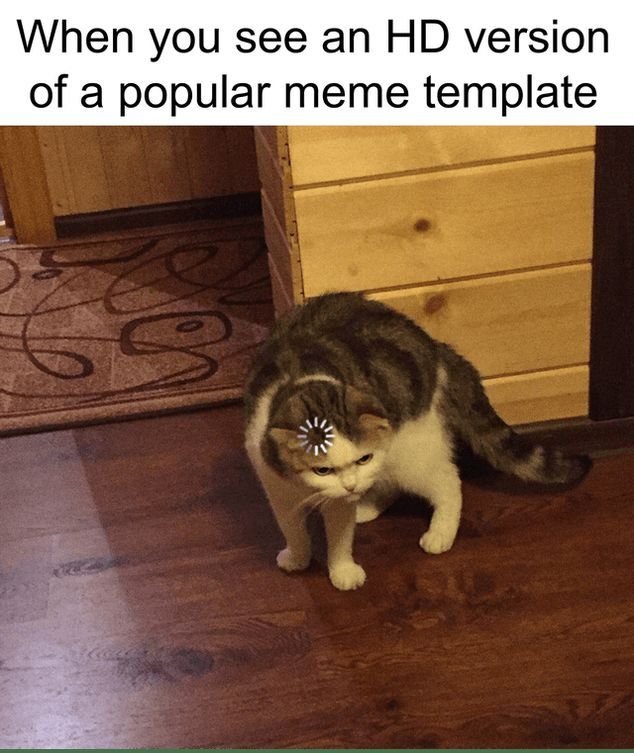 Кот задумался