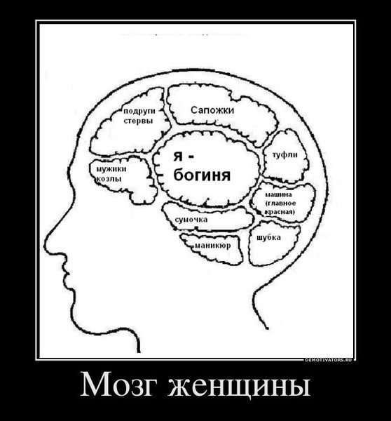 Мозг женщины прикол