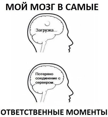 Я И мой мозг