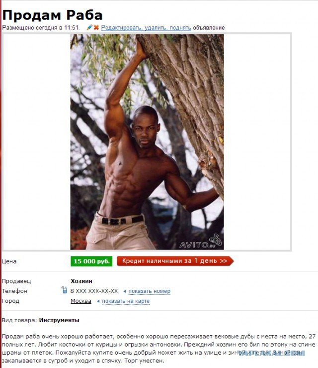 Негры продаются