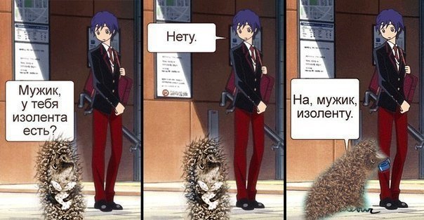 Анекдот про ежа и изоленту