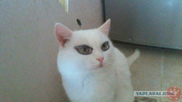 Мама ты не понимаешь сейчас так модно