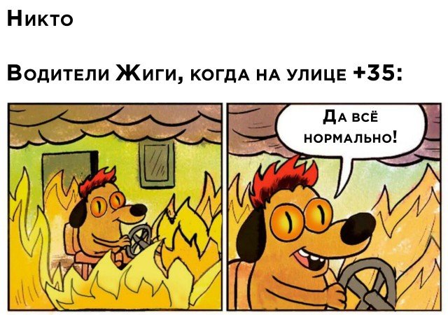 Собака в огне Мем