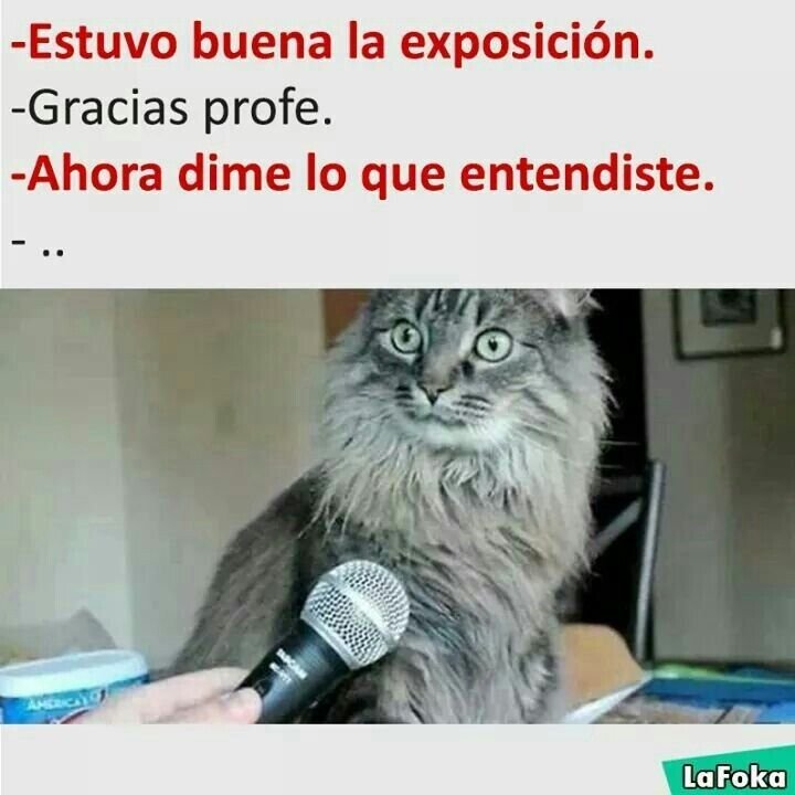 Кот с микрофоном Мем