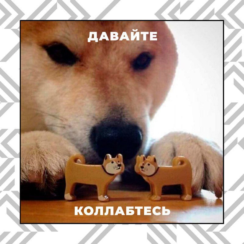 Мем Now Kiss собака