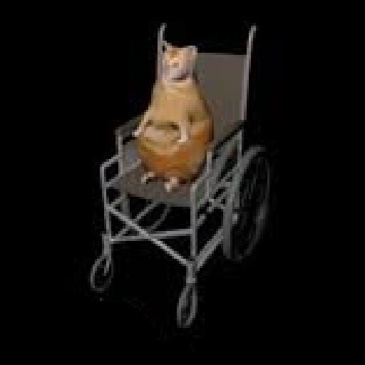 Cat wheelchair
