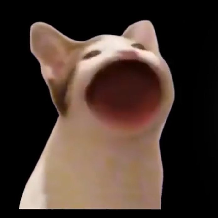 Кричащий кот