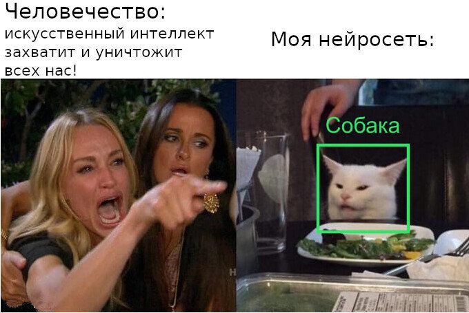 Мем кот и женщина кричит