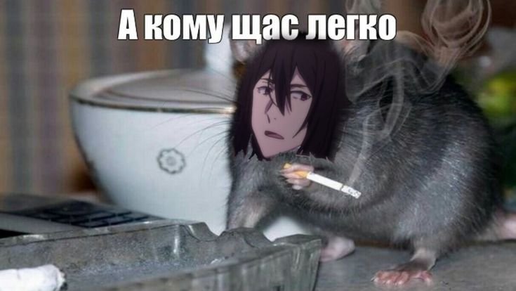 Мышь а кому щас легко