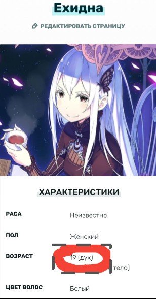 Ехидна аниме