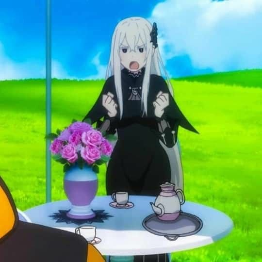 Ехидна резеро