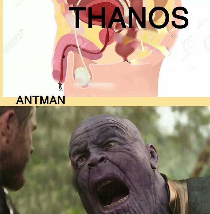 Мемы про человека муравья