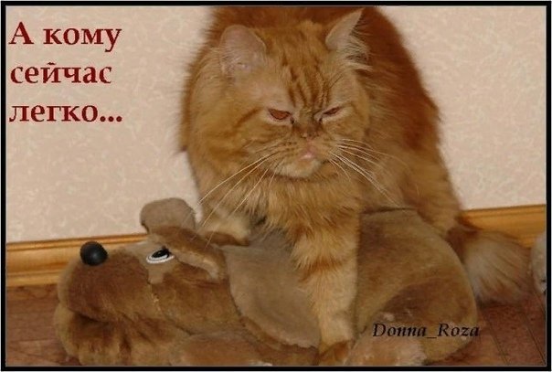 А кому сейчас легко