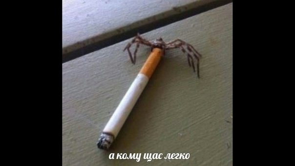 Мем а КУМК сейчас легко