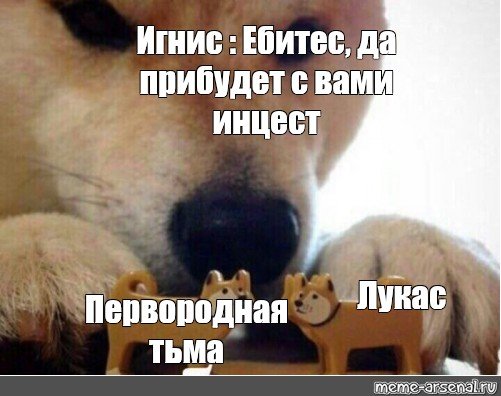 Сиба ину Мем ебитес