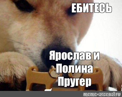 Полина Пругер