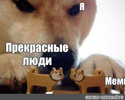 Собака Мем 2023